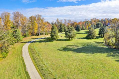 574 Menefee Rd, Ferrum, VA 24088 photo 96