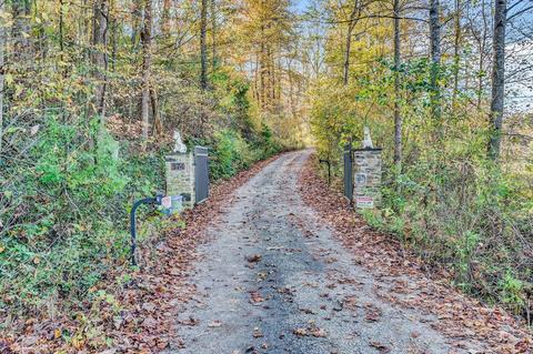 574 Menefee Rd, Ferrum, VA 24088 photo 97