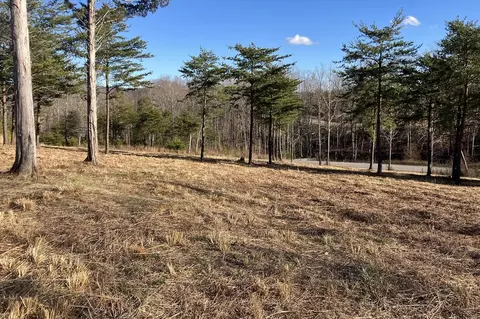 Lot 5 Jfk Blvd, Union Hall, VA 24176