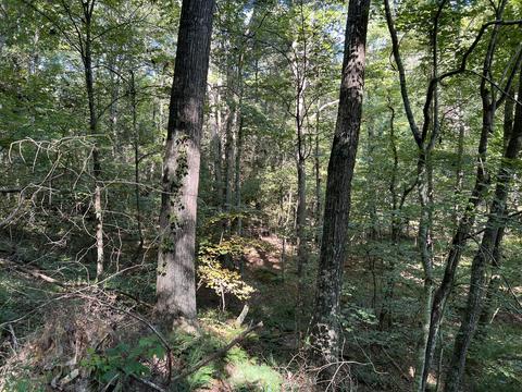 0 Haynes Rd, Pulaski, VA 24301 photo 24