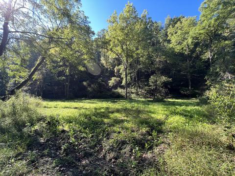 0 Haynes Rd, Pulaski, VA 24301 photo 14