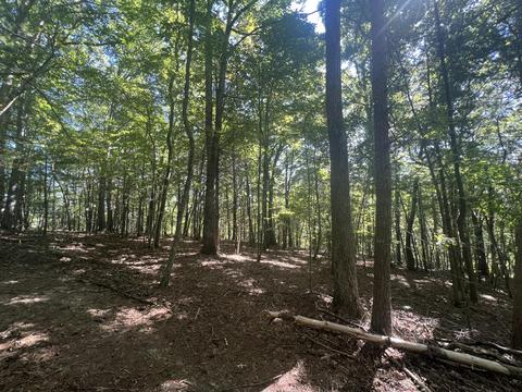 0 Haynes Rd, Pulaski, VA 24301 photo 26