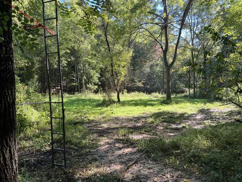 0 Haynes Rd, Pulaski, VA 24301 photo 23