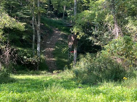 0 Haynes Rd, Pulaski, VA 24301 photo 13