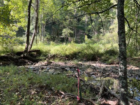 0 Haynes Rd, Pulaski, VA 24301 photo 19