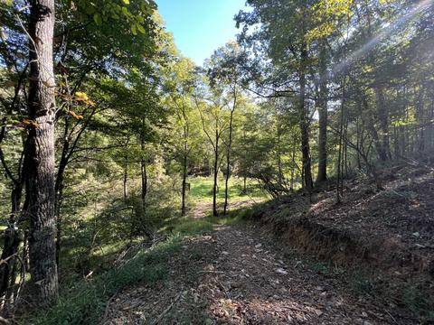 0 Haynes Rd, Pulaski, VA 24301 photo 8