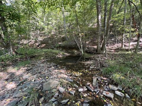 0 Haynes Rd, Pulaski, VA 24301 photo 16
