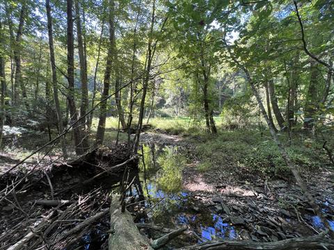 0 Haynes Rd, Pulaski, VA 24301 photo 18