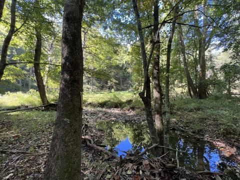 0 Haynes Rd, Pulaski, VA 24301 photo 17
