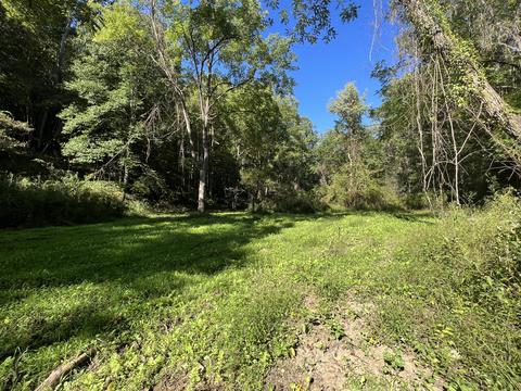 0 Haynes Rd, Pulaski, VA 24301 photo 12