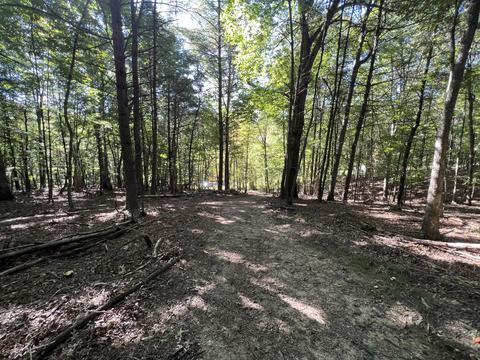 0 Haynes Rd, Pulaski, VA 24301 photo 3