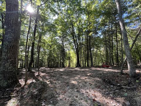 0 Haynes Rd, Pulaski, VA 24301 photo 5