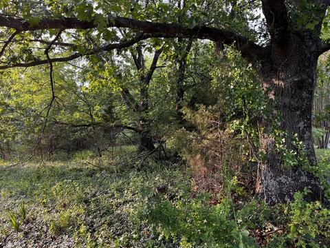 lot4 Mcdaniel Rd, Bedford, VA 24523