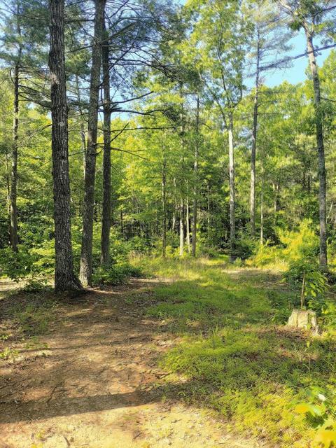 405 Pathfinder Dr, Henry, VA 24102 photo 15
