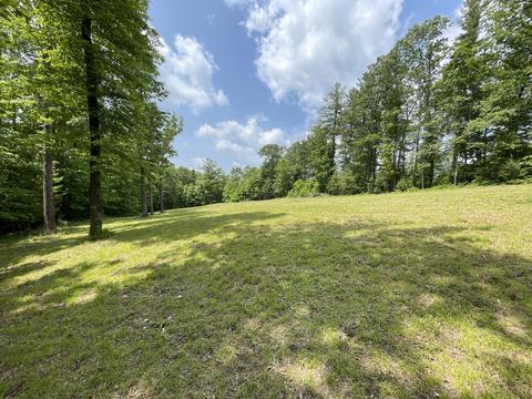 0 Gold Field Rd NE, Check, VA 24072
