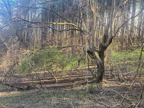4816 Roger Loop, Pulaski, VA 24301 photo 31
