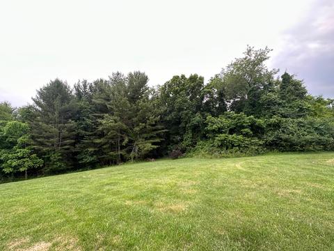 4816 Roger Loop, Pulaski, VA 24301 photo 29