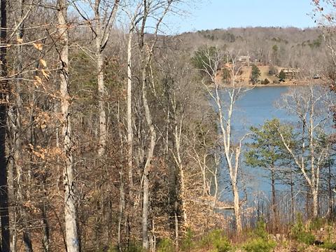 Lot 200 Siah Glenn, Pittsville, VA 24139