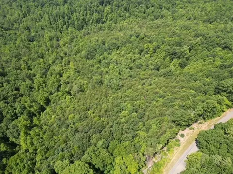 00 Philpott Rd, Henry, VA 24102