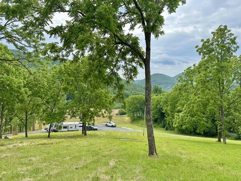 7506 Roaring Run Rd, Covington, VA 24426 photo 3