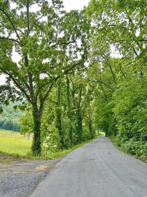 7506 Roaring Run Rd, Covington, VA 24426 photo 14