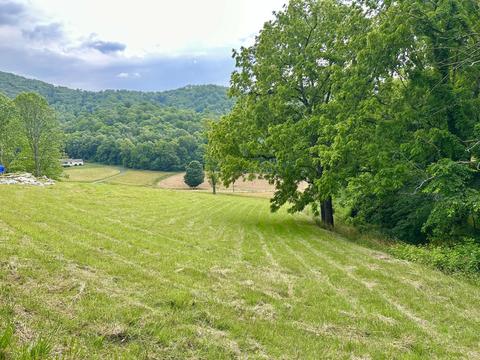 7506 Roaring Run Rd, Covington, VA 24426 photo 7