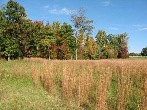 lot25 Farm Dr, Moneta, VA 24121