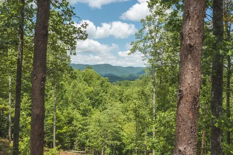 2656 Lone Ivy Rd, Stuart, VA 24171 photo 42