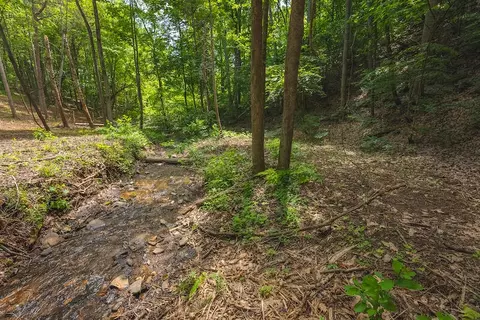 2656 Lone Ivy Rd, Stuart, VA 24171 photo 52