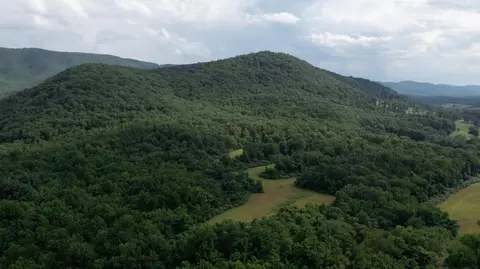 00 Gorge Rd, Buchanan, VA 24066 photo 5