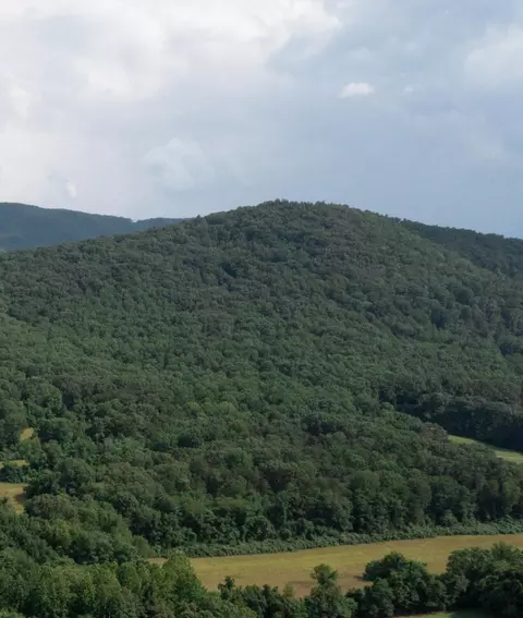 00 Gorge Rd, Buchanan, VA 24066 photo 7