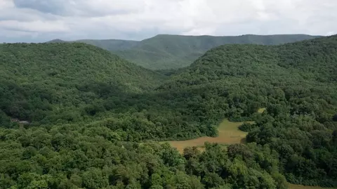 00 Gorge Rd, Buchanan, VA 24066