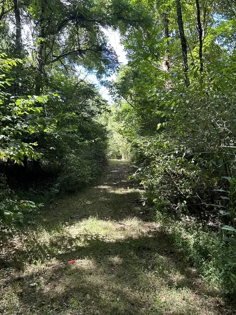 0 Gorge Rd, Buchanan, VA 24066 photo 5