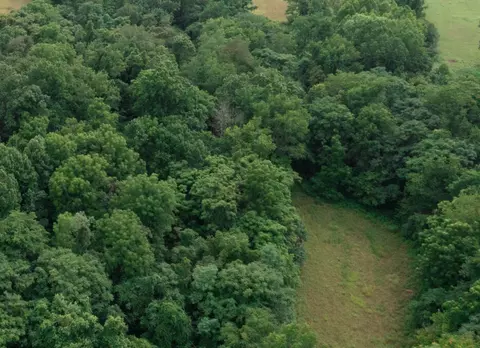 0 Gorge Rd, Buchanan, VA 24066 photo 2
