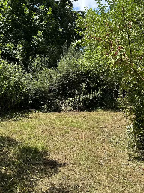 0 Gorge Rd, Buchanan, VA 24066 photo 13
