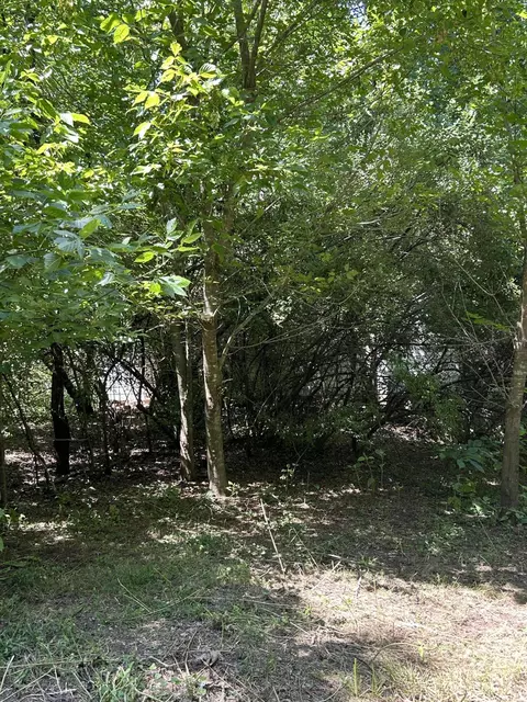 0 Gorge Rd, Buchanan, VA 24066 photo 7