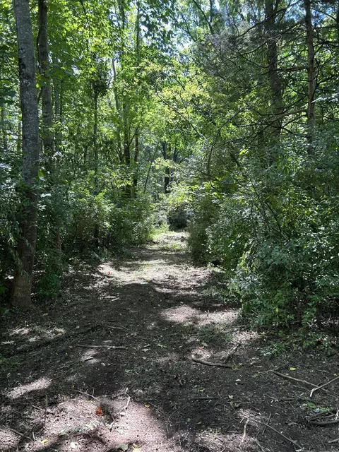 0 Gorge Rd, Buchanan, VA 24066