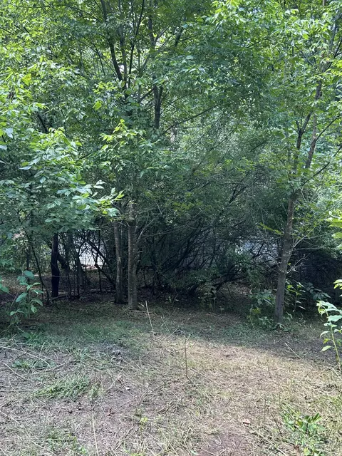 0 Gorge Rd, Buchanan, VA 24066 photo 8