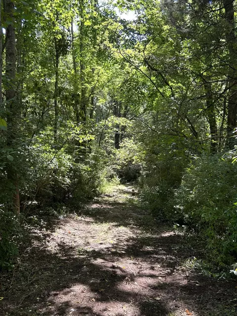 0 Gorge Rd, Buchanan, VA 24066 photo 10