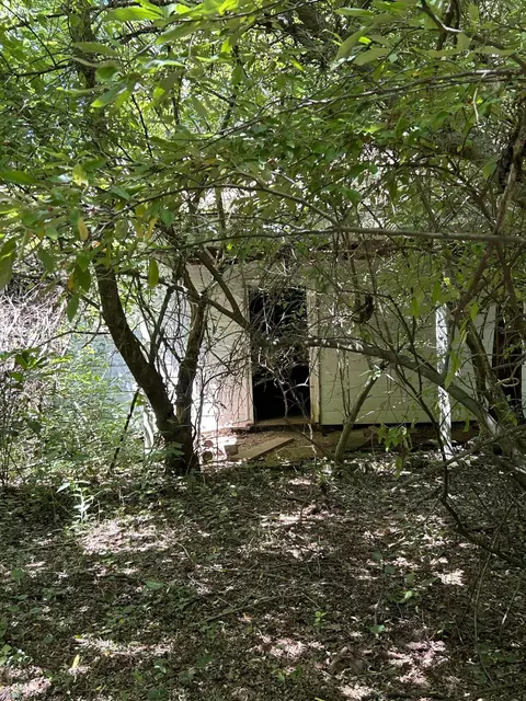 0 Gorge Rd, Buchanan, VA 24066 photo 6