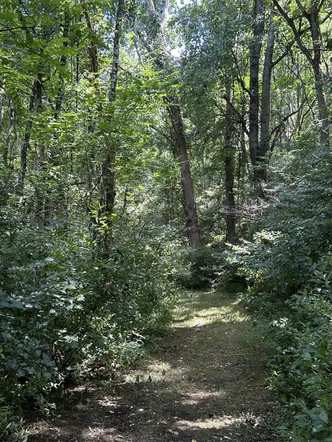 0 Gorge Rd, Buchanan, VA 24066 photo 3