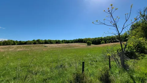 233 Shawnee Hill Trl, Raphine, VA 24472 photo 12