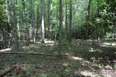 369 Wild Cherry Rd NE, Pilot, VA 24138 photo 100