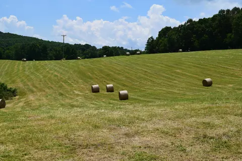 369 Wild Cherry Rd NE, Pilot, VA 24138 photo 68