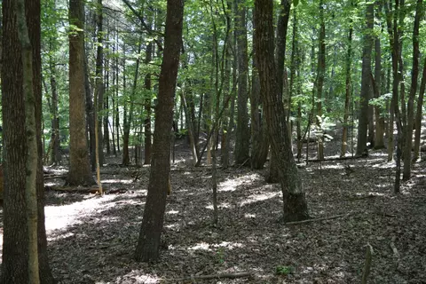369 Wild Cherry Rd NE, Pilot, VA 24138 photo 82