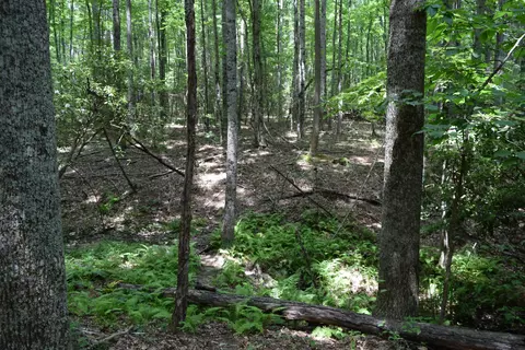 369 Wild Cherry Rd NE, Pilot, VA 24138 photo 97