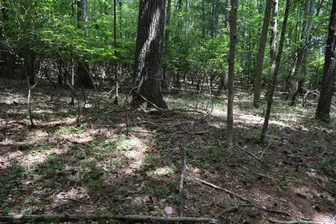 369 Wild Cherry Rd NE, Pilot, VA 24138 photo 98