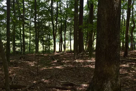 369 Wild Cherry Rd NE, Pilot, VA 24138 photo 84