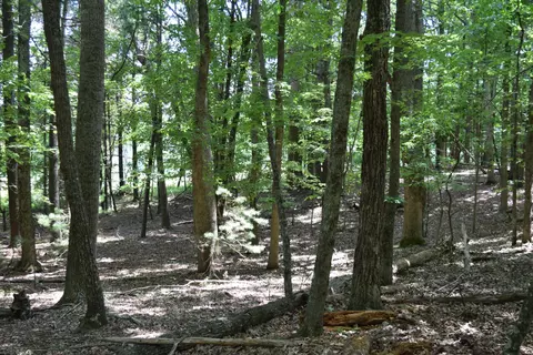 369 Wild Cherry Rd NE, Pilot, VA 24138 photo 83