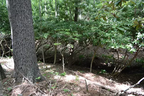 369 Wild Cherry Rd NE, Pilot, VA 24138 photo 96